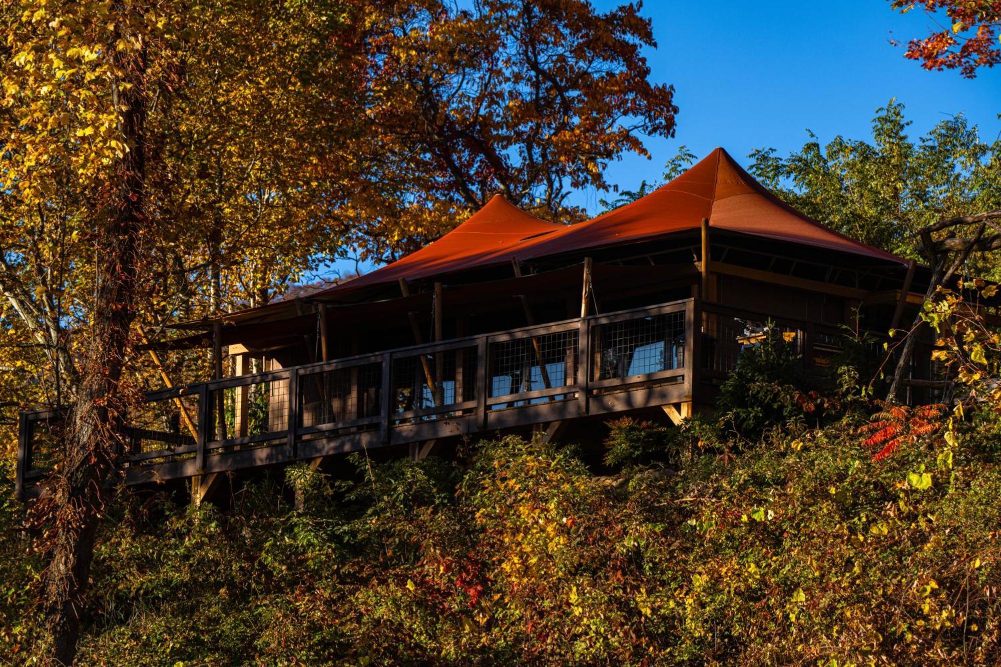 מלון ווינסוויל Elk & Embers Mountain Hideaway מראה חיצוני תמונה