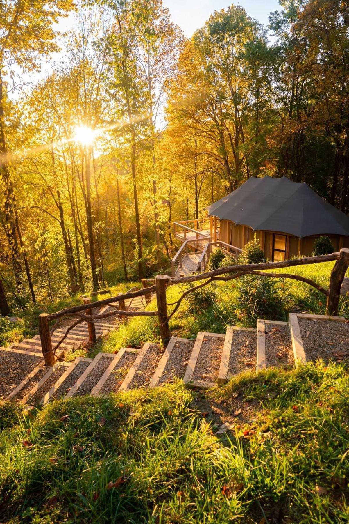 מלון ווינסוויל Elk & Embers Mountain Hideaway מראה חיצוני תמונה